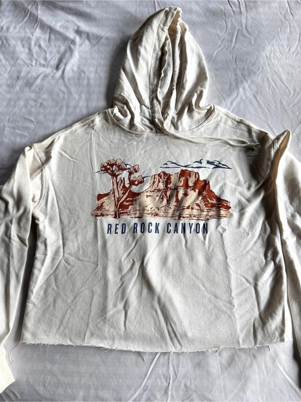Cold Crush Cropped Graphic Hoodie in Cream Size Medium